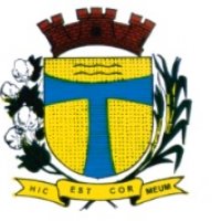 CAMARA MUNICIPAL DE SAO PEDRO DO  TURVO